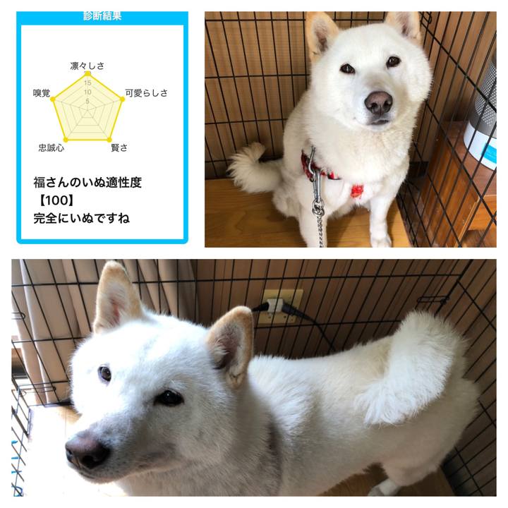 67e403e7 d08c 4f7a 96e3 fe8ea3fffc5a 1556849455342