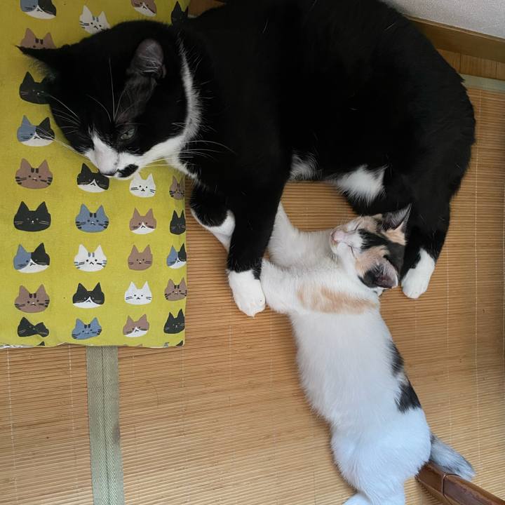 67e414cb ab33 40ce ba34 8b47614aac5f 1663656318781