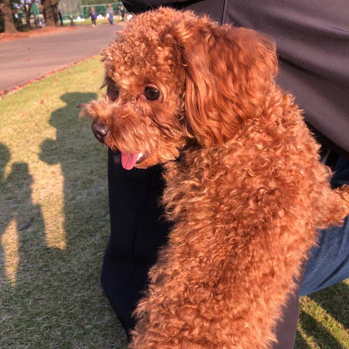 67e46243 c01c 4d41 aa44 d619deee9441 1509878620942