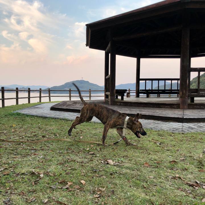 67e482ae e53b 4125 a0af 96609e9cf1ef 1572694962575