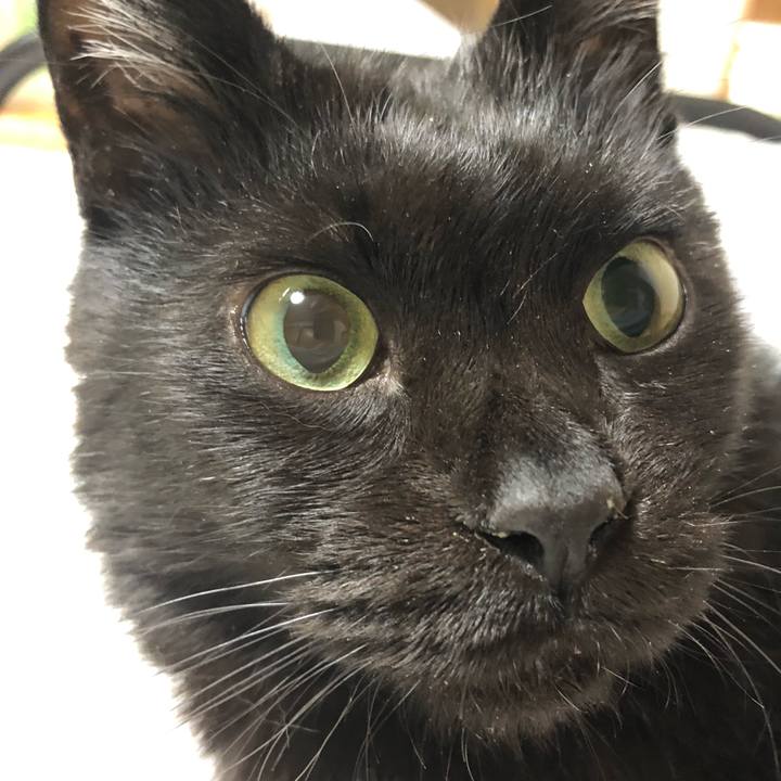 67e48481 71f8 451b ab21 096f27bd80aa 1613206018795