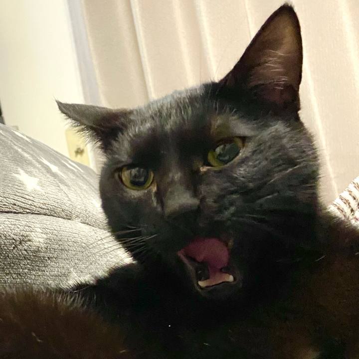 67e498f2 4b12 4b1a b051 16388b5748b4 1642418276426