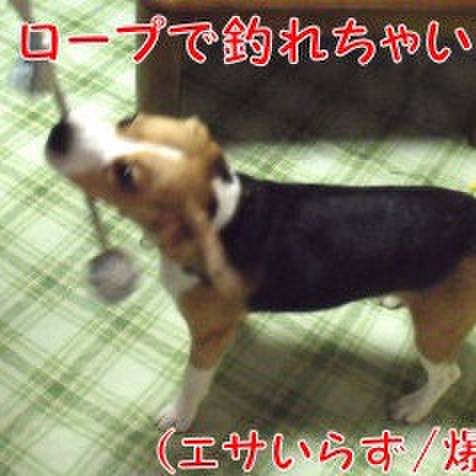 67e4c6f7 8b90 47f5 a78f bdf10865365b 1696378527004