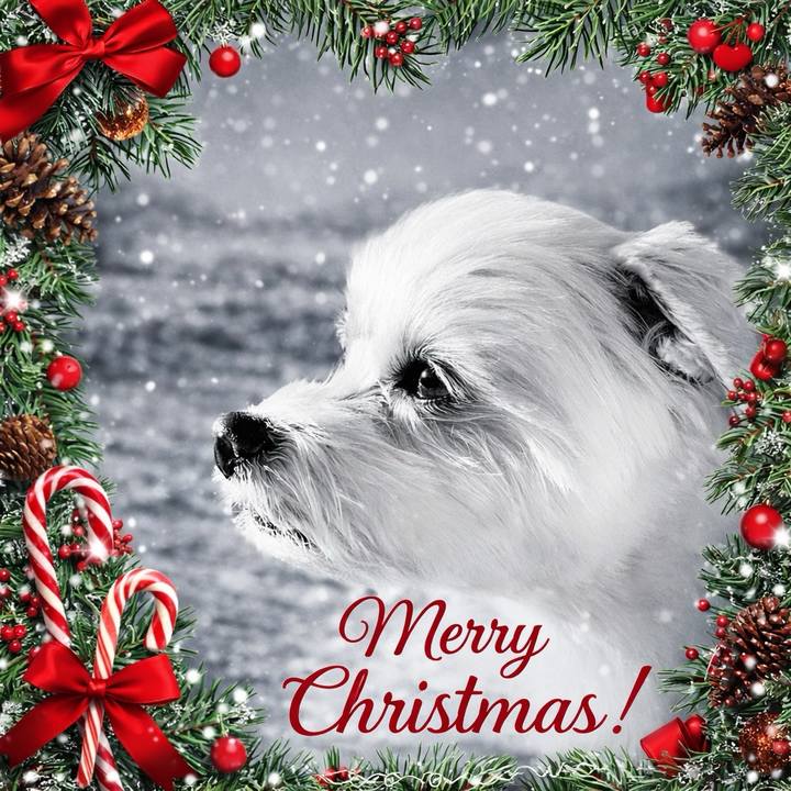 67e50e8e 9926 49ff 8d4e f8345df89190 1766608883907