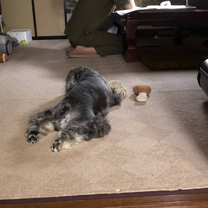 67e53b88 e30b 4ae5 a598 2527acfe3b30 1536975249670