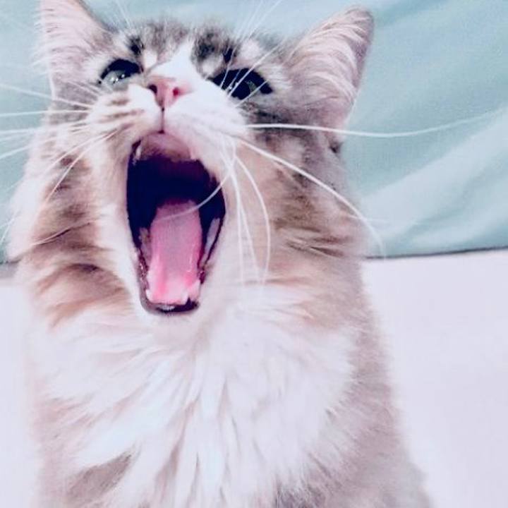 67e54045 4b6f 4e72 b166 6340948a05e2 1622481779144