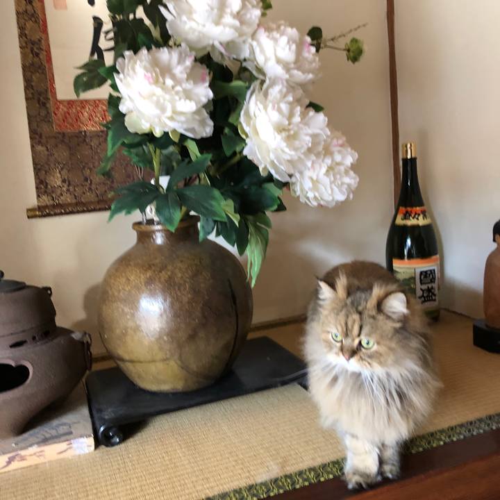 67e582d3 401b 4ceb 8ecb 474e2d94deb9 1551743131558