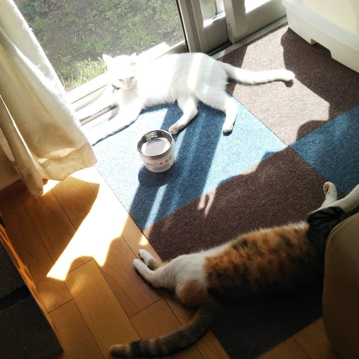 67e5b0b2 acb6 487c 9d00 b6ea2a53ed8a 1649217520731