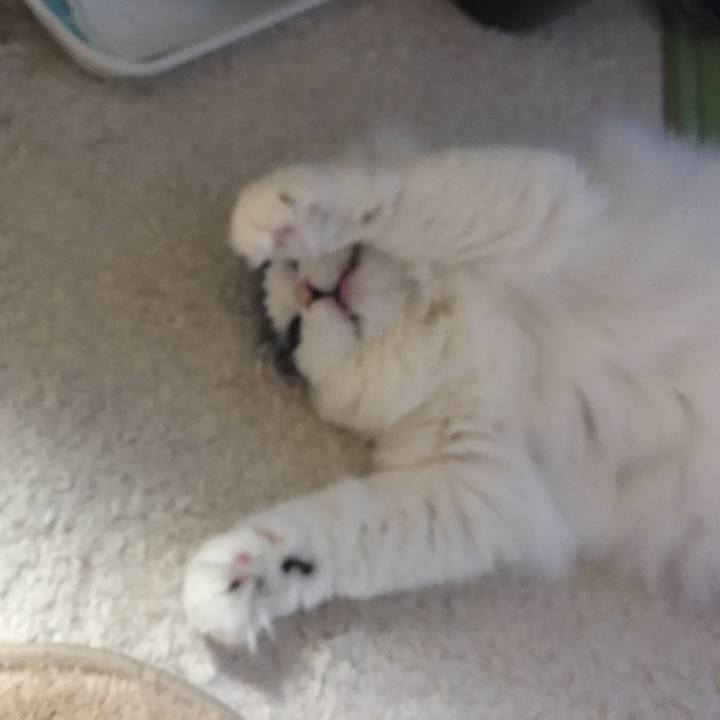 67e5f487 add1 498f 9590 e9c10f280358 1528038501969