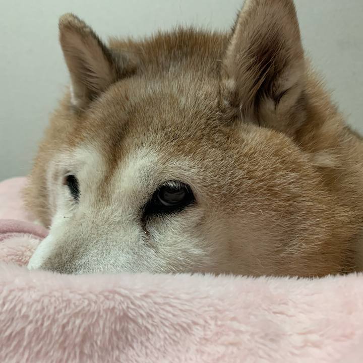 67e60162 4102 4141 a43e 9ea6642e054b 1638571806856