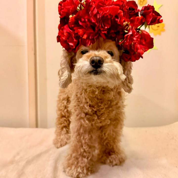 67e615f5 eeed 47c1 b263 fcecb01c9e05 1780102331416