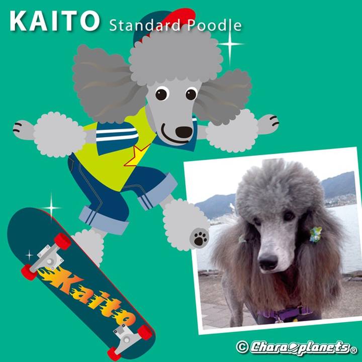 67e64106 8210 4306 8442 6a09f00ade2a 1564887235752