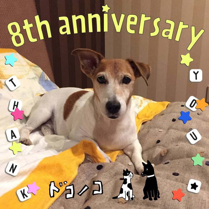 67e6479a 1427 421a adbb c9c0add38bb2 1717580912787