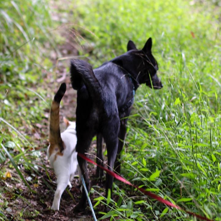 67e69888 e7b9 494d 9060 d050d17af947 1571527549624