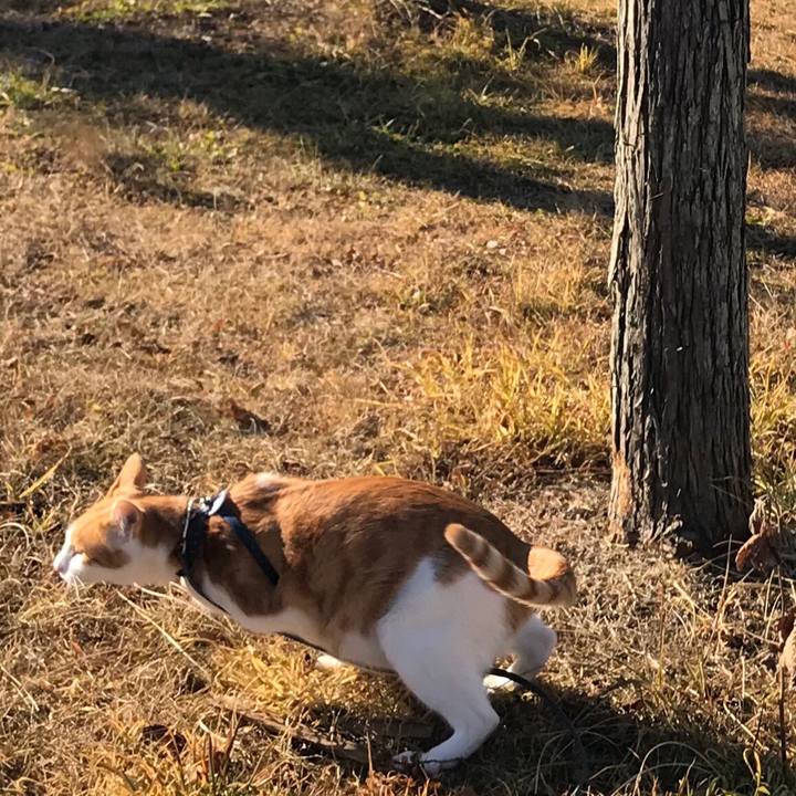 67e6d04a 6c31 4d81 8387 ea5cdc16d39e 1515737665673