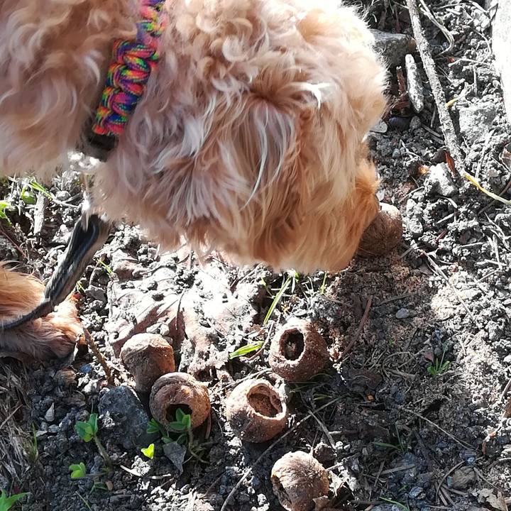 67e6f877 5b29 44f9 a567 d9ea26b720bb 1558077546799