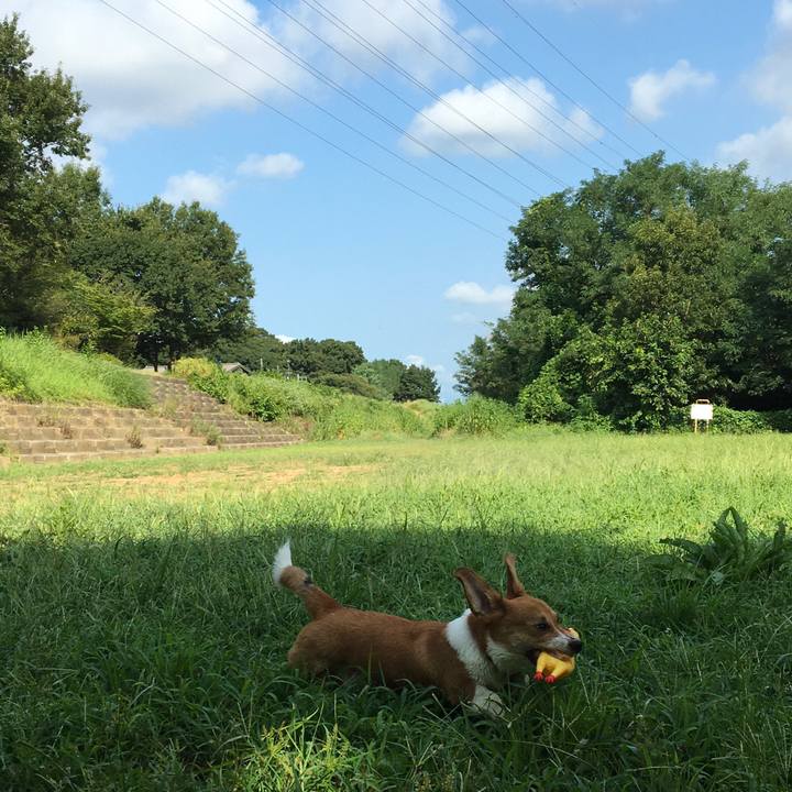 67e6f98e 9555 480f a6a5 4ffa08d5be6e 1598315859025