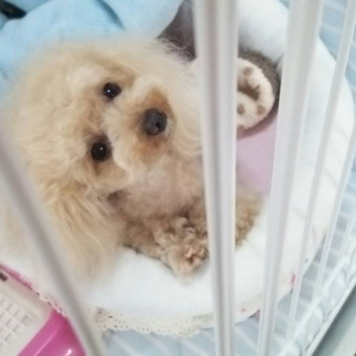 67e719e1 5771 4847 8718 52fb08506b7f 1529757994936