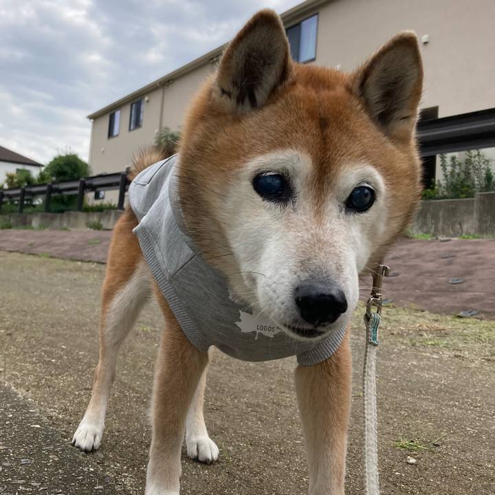 67e72f02 d5d9 4650 9643 edd6179d4adb 1762573402127