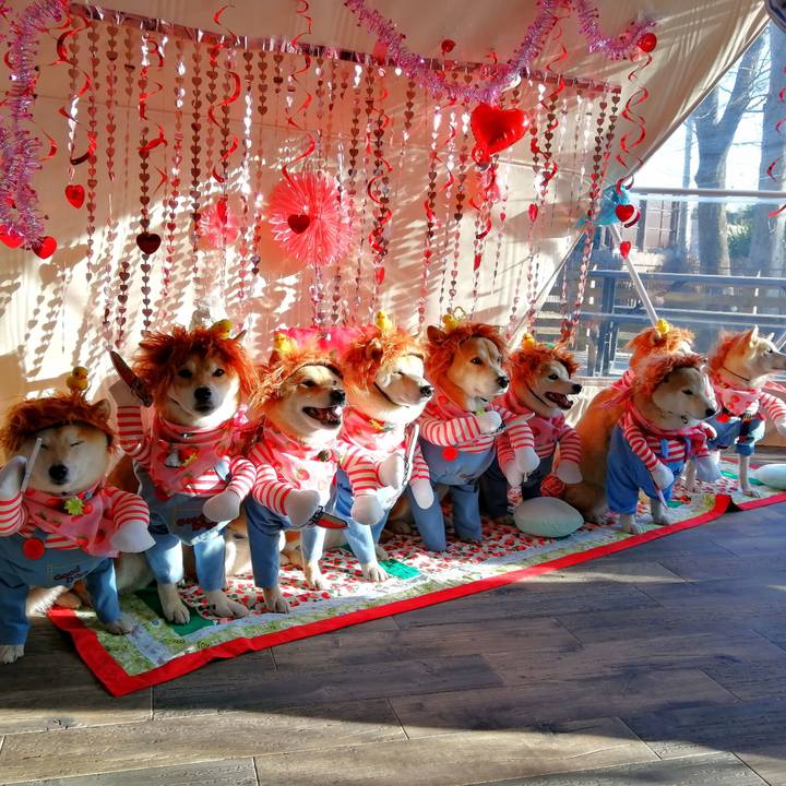 67e775ef b17b 4904 8f84 276967c277b5 1675745566418