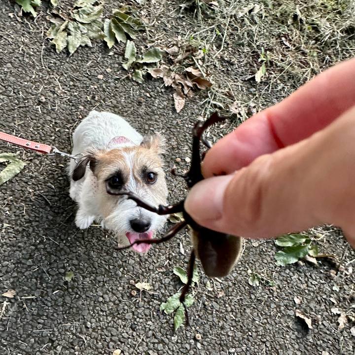 67e787e8 3f48 441f a21e e32f88975001 1692570335310