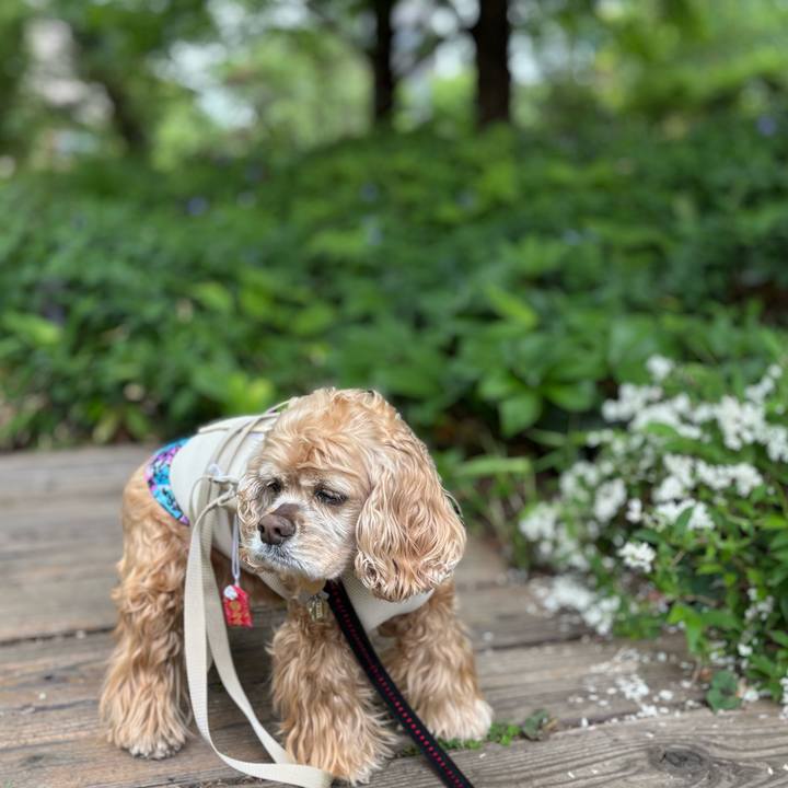 67e78b73 3c48 4abb 8635 e5c089065d12 1777043924792