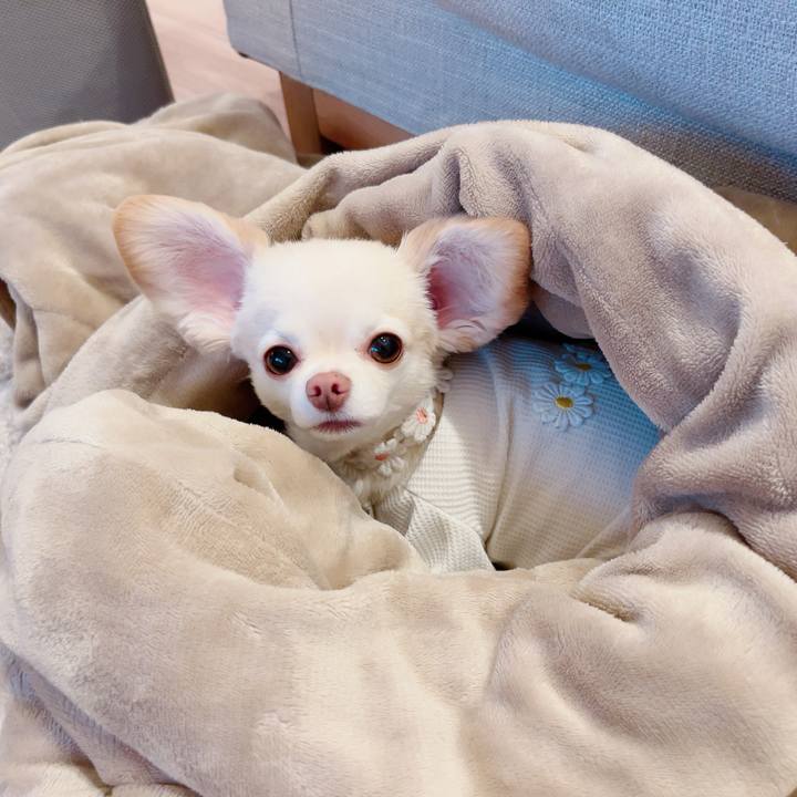 67e78e91 e4de 409c 8c89 8c28d93d85ce 1722251867896