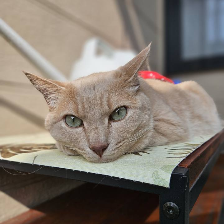 67e7e159 2669 497e 9b3a 0a6d0ba280ba 1721261485872