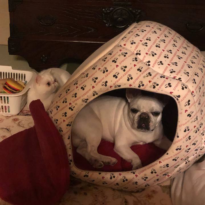 67e7f278 09c4 44cc b929 1a0cad123f20 1582201049319