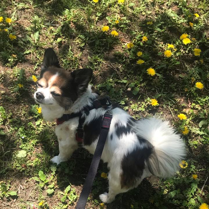 67e7f3ad a18e 479e bfe5 c612fa6453ce 1714014683899