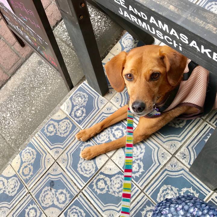 67e7fd75 d878 4f14 8a9f 7f893590bc13 1523078242077