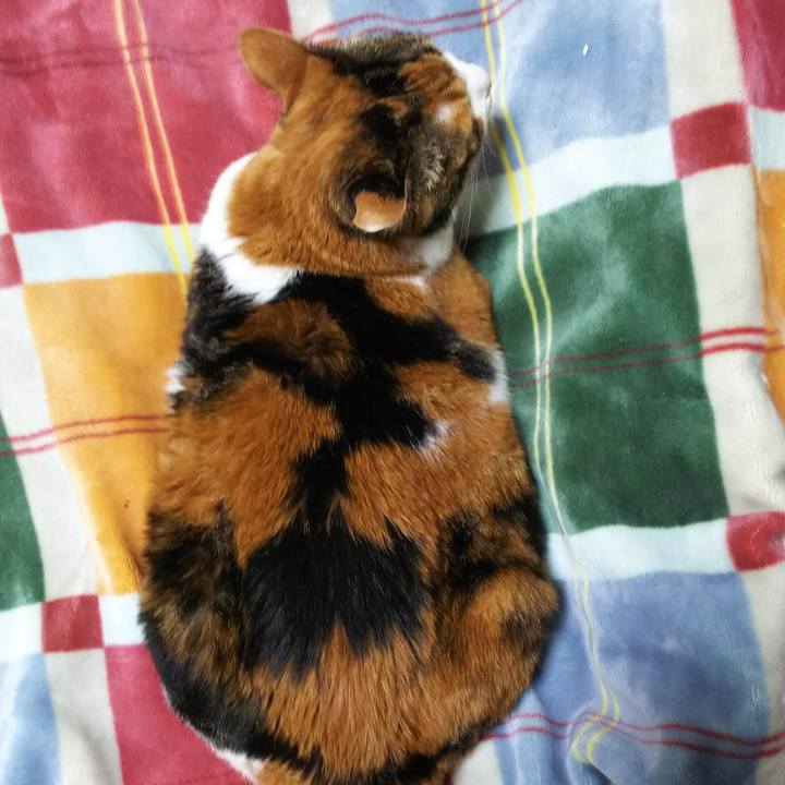 67e812fc 593c 4364 92d3 2a4e3ecbf874 1540331021670