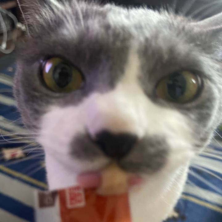 67e839b7 1b85 4aeb 96fe 613df8be8e1c 1684909210957