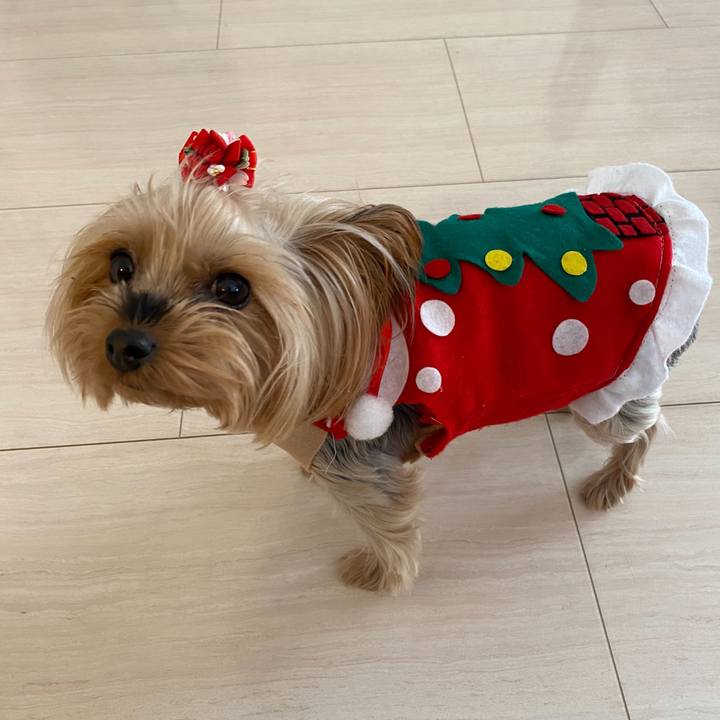 67e856b8 e414 43e5 87af fc37c606be1d 1608768641759