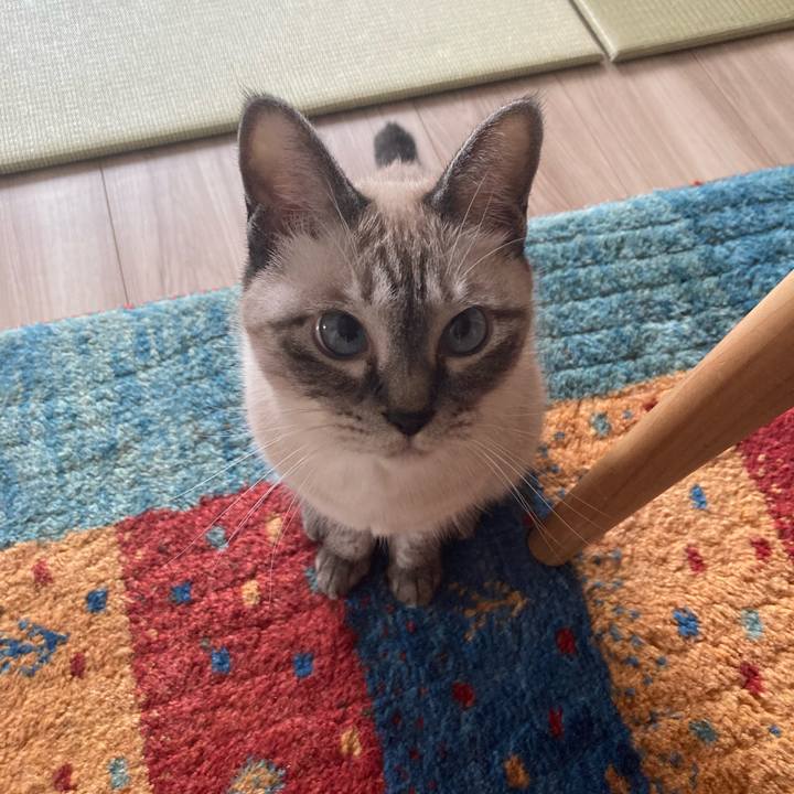 67e859d0 8b97 4935 849f e42458998e9e 1725068260261