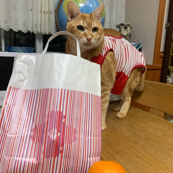 67e86db2 8dd9 4857 98bb aa9fb79aa59e 1580553446265