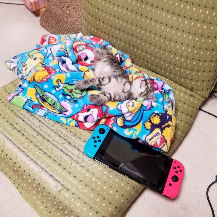 67e8a7bc 751b 4289 941f 9dab206e4aff 1661698154766