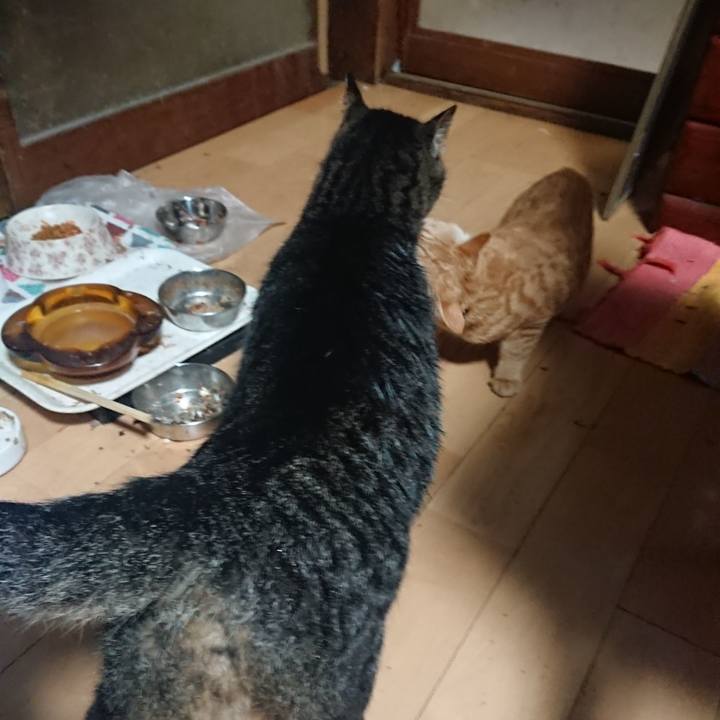 67e8beab c2b7 43a2 bcf7 7211863404e6 1637874316867