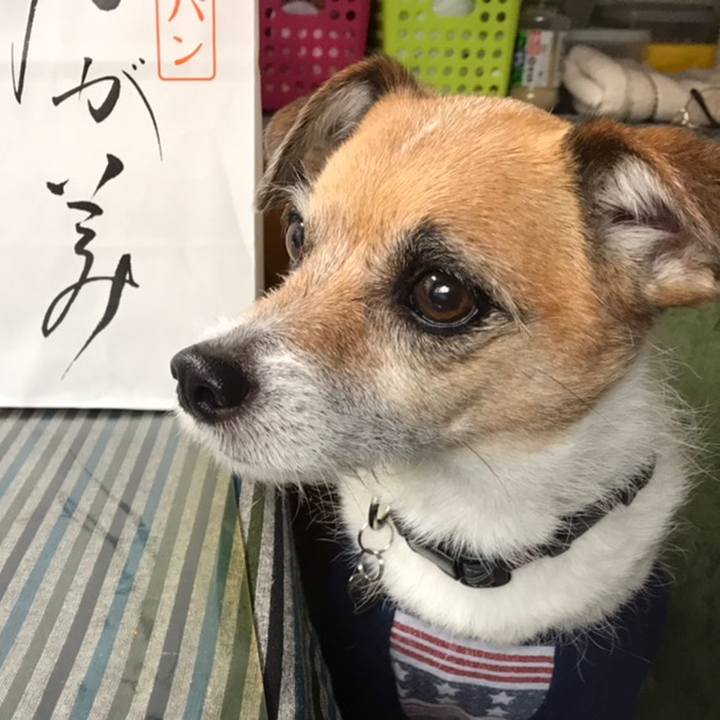 67e8d71d 0424 41a6 b517 75d330cb2cac 1558436708372