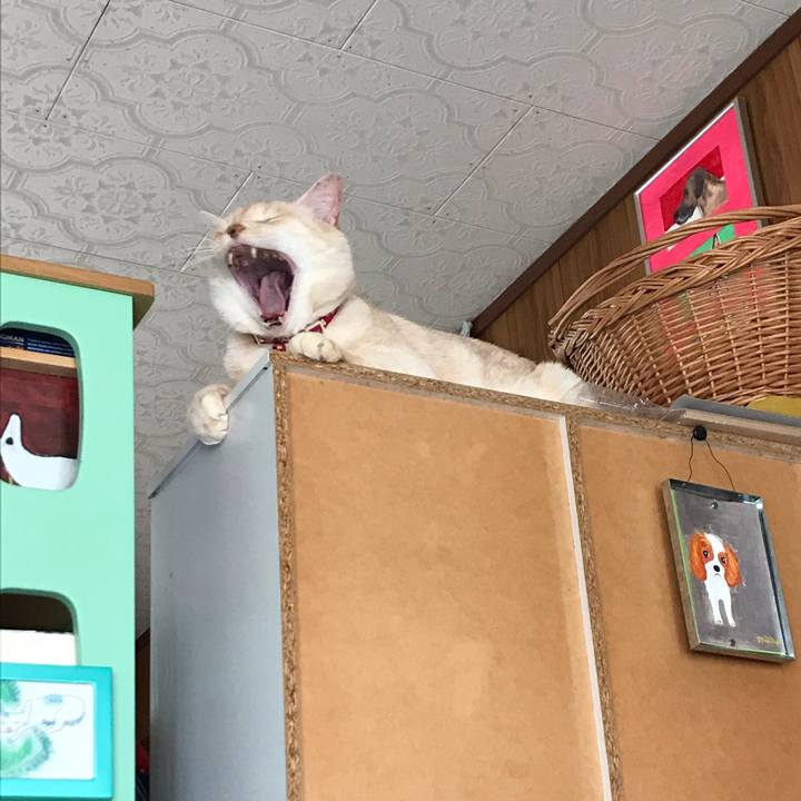 67e8e5f1 f2aa 49c5 9cc5 37810bc87143 1590374923363