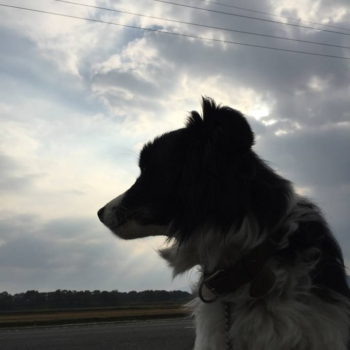 67e8eda0 cc9c 46ae 95d7 959db7aa5890 1542673224666