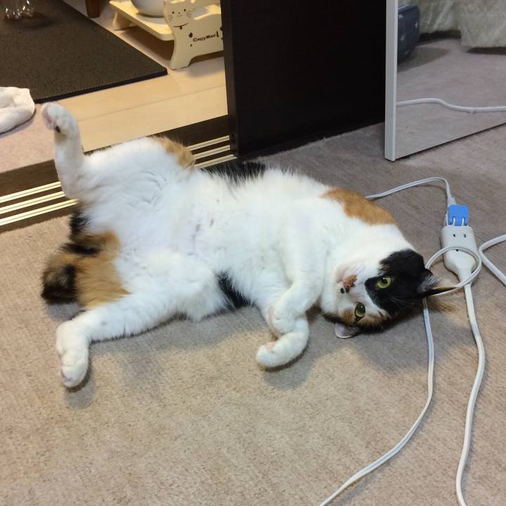 67e8ef42 c7d0 4aef 9a23 1454da542c27 1600265020114