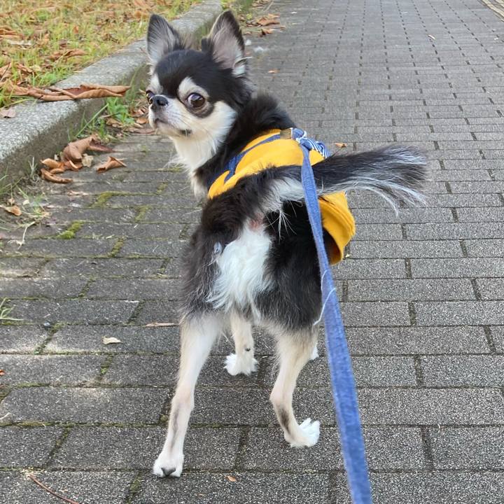 67e8f01f 9e6e 44d6 ac5a 191472dddb4c 1670687551095