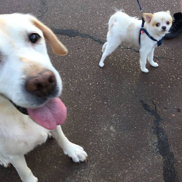 67e9227f ec25 44f4 9f08 8d363c9f61f6 1588380079377