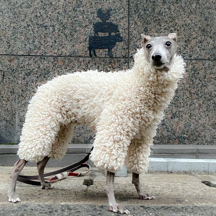 67e94425 eec5 42a0 a874 b4eb28a19fba 1768908309876