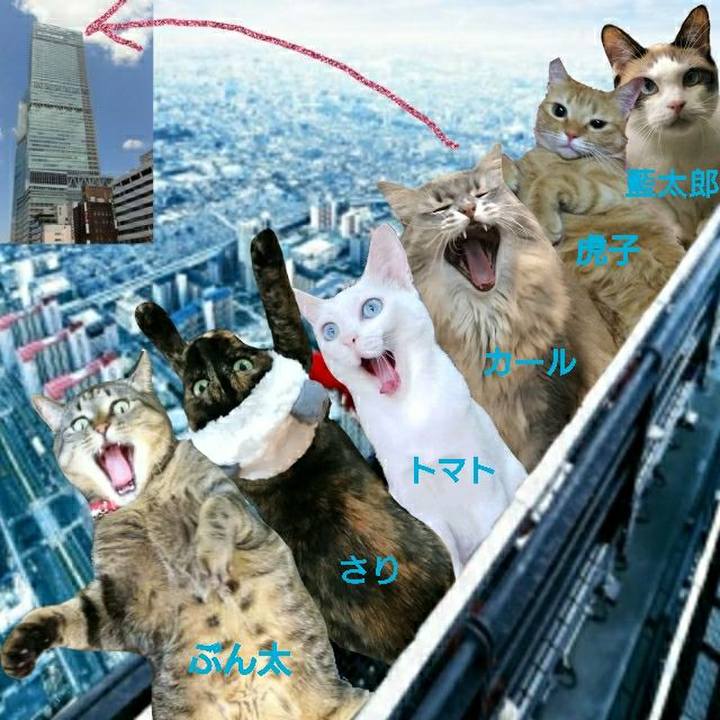 67e971f8 8027 491b 9749 13585168bd85 1544313956846