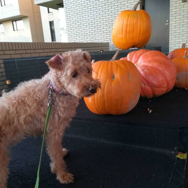 67e9cb76 cb43 42c4 99f7 71d085626c30 1570359061160