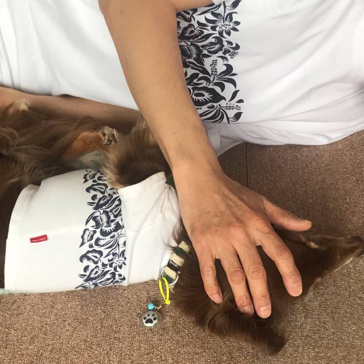 67e9d4d9 eca4 4963 9307 55945d907eee 1590563436707