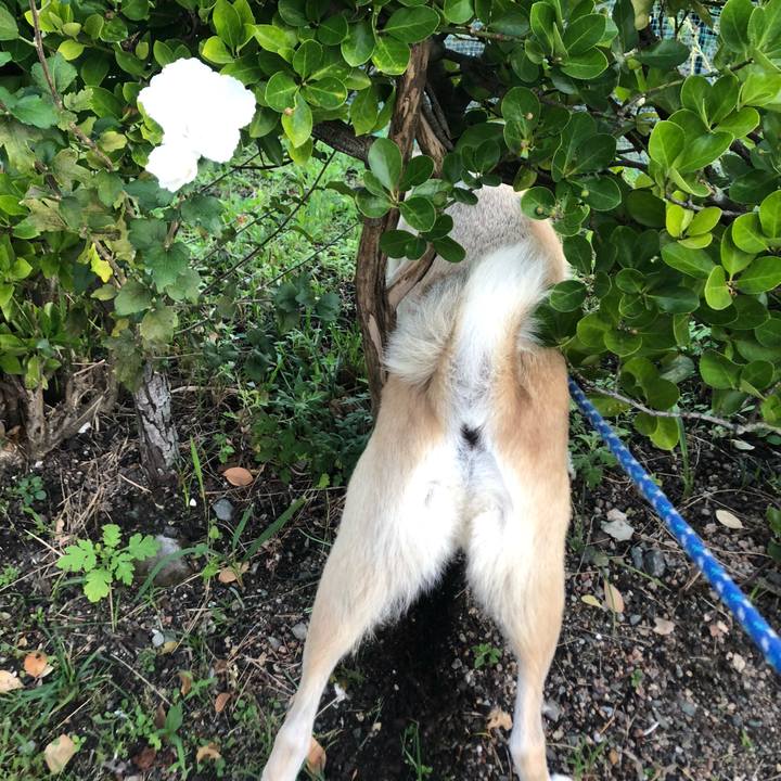 67e9d874 1b3d 4648 9d91 1780a4df91f4 1634213160188