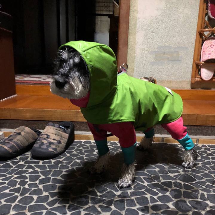 67e9f327 b08b 44bc aabe 372c60b63d70 1669722566679